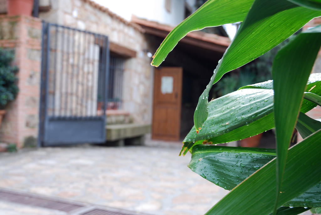 Hostal El Cardenillo Madrigal de la Vera Bagian luar foto